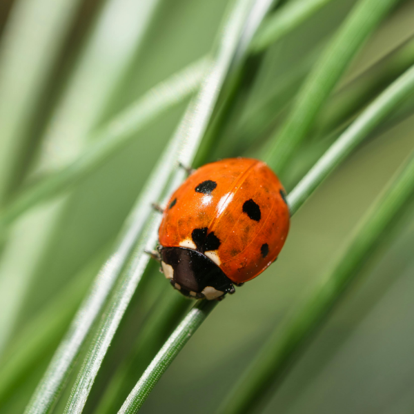 Neu mit Meldungsmail