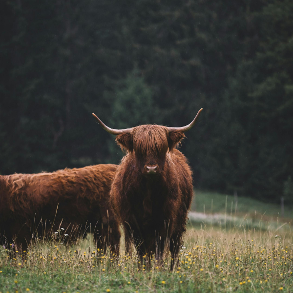 Interne Seite im externen Bereich: darf nicht sein!