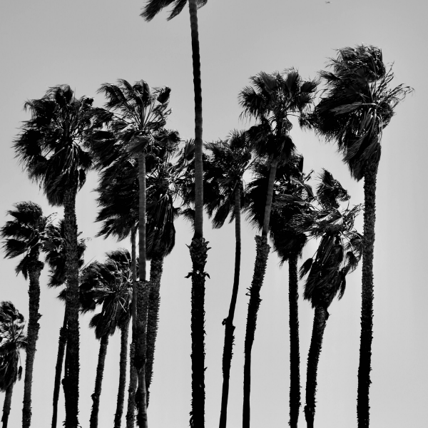 klappts jetzt? deutsch und franz.?