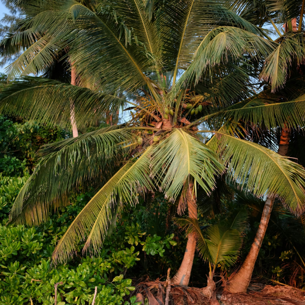 Freitag und Sonnenschein! was will man mehr?