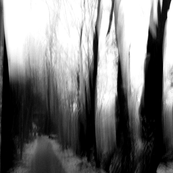 Spontantest Aktualisierung