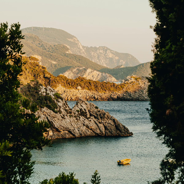 Eine weitere Aktualisierung