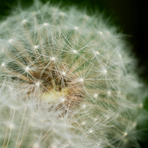 Aktualisierungsmeldung: Abnahme!